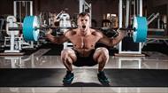 فروش تحقیق آشنایی با عضلات بدن انسان و نحوه عملکرد آنها در وزنه برداری و ورزش